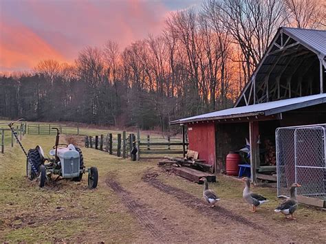 Our farm sanctuary - The Adopt a Farm Animal program is a community of compassionate supporters whose monthly or annual commitment provides the necessary support to care for a rescued farm animal and continue Farm …